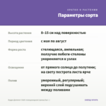 Будра Депплет Лайт плющевидная (срезы/3шт. ) — параметры сорта
