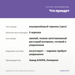Будра Депплет Лайт плющевидная (срезы/3шт. ) — что приедет