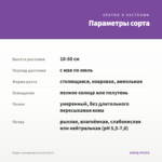 Будра плющевидная (срез/3шт) — параметры сорта