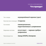 Будра плющевидная (срез/3шт) — что приедет