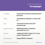 Будра плющевидная Вариегатная (0,1л) — что приедет