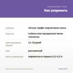 Будра плющевидная Вариегатная (срезы/3шт.) — как укоренить черенок