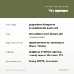 Церопегия Вуди Вариегата (0,1л) — что приедет