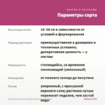 Цианотис кьюсский (Cyanotis kewensis) (срезы/3шт.) — параметры сорта
