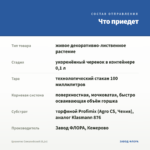 Цианотис Сомалийский (0,1л) — что приедет