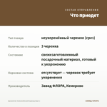 Цианотис Сомалийский (срезы/3шт.) — что приедет