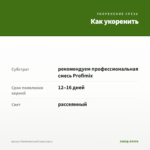 Циссус Ромболистный (срез/1шт.) — как укоренить черенок