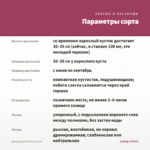 Диасция Darla Rose (0,1л) — параметры сорта