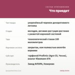 Диасция Darla Rose (0,1л) — что приедет