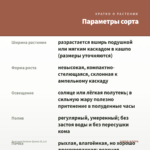 Диасция Salmon Queen (0,1л) — параметры сорта