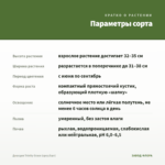 Диасция Trinity Grace (срез/5шт) — параметры сорта