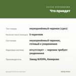Диасция Trinity Grace (срез/5шт) — что приедет