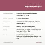 Диасция Trinity Pink (0,1л) — параметры сорта