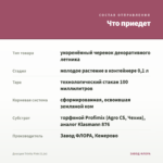 Диасция Trinity Pink (0,1л) — что приедет