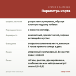 Диасция Trinity Sunset (0,1л) — параметры сорта