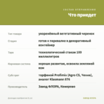 Дихондра серебристая (0,1л) — что приедет