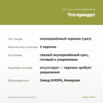 Дихондра серебристая (срез/3шт) — что приедет