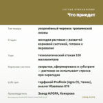 Дипладения Sundaville Classic Cream Pink (0,1л) — что приедет