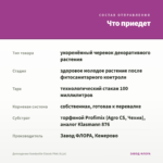 Дипладения Sundaville Classic Pink (0,1л) — что приедет