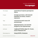 Дипладения Sundaville Classic Red (0,1л) — что приедет