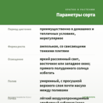 Дисхидия Ionanta Var (0,1л.) — параметры сорта