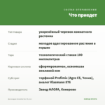 Дисхидия Ionanta Var (0,1л.) — что приедет