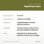 Джеймсбриттения STARDOM GOLDSTAR (0,1л) — параметры сорта