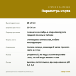 Джеймсбриттения STARDOM GOLDSTAR (0,1л) — параметры сорта