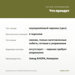Джеймсбриттения STARDOM GOLDSTAR (срезы/5шт) — что приедет