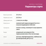 Джеймсбриттения STARDOM Pink (срезы/5шт) — параметры сорта