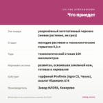 Джеймсбриттения SummerDream Lavender Eye (0,1л) — что приедет