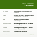 Джинура (0,1л) — что приедет