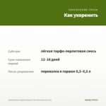 Эпипремнум Энджой Голд/ N-Joy Gold (срез/2 узла) — как укоренить черенок
