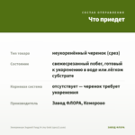 Эпипремнум Энджой Голд/ N-Joy Gold (срез/2 узла) — что приедет