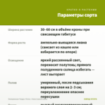 Эпипремнум Голден Потос / Неон (срез/2 узла) — параметры сорта