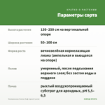 Эпипремнум Хэппи Лиф (срез/2 узла) — параметры сорта