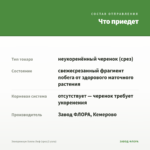 Эпипремнум Хэппи Лиф (срез/2 узла) — что приедет