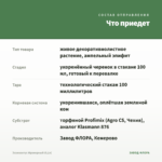 Эсхинантус Мраморный (0,1л) — что приедет