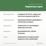 Эсхинантус Мраморный (срез/1шт.) — параметры сорта