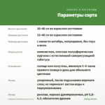 Эуфорбия Даймонд Стар (0,1л) — параметры сорта