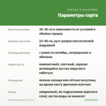 Эуфорбия Даймонд Стар (0,1л) — параметры сорта