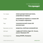 Эуфорбия Даймонд Стар (0,1л) — что приедет