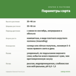 Эуфорбия Diamond Frost (0,1л) — параметры сорта