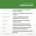Эуфорбия Euphorbia Silver Fog (0,1л) — параметры сорта