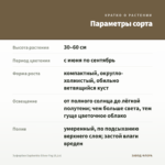 Эуфорбия Euphorbia Silver Fog (0,1л) — параметры сорта