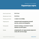 Фелиция FELICITY Leading Lady (0,1л.) — параметры сорта