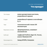 Фелиция FELICITY Leading Lady (0,1л.) — что приедет