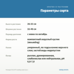Фелиция FELICITY Leading Lady (0,1л.) — параметры сорта