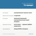 Фелиция FELICITY Leading Lady (срез/5шт) — что приедет