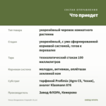 Фикус Бенджамин Старлайт (0,1л) — что приедет